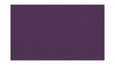 Purple (84577)